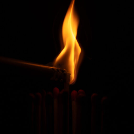 wpdevscene.at
